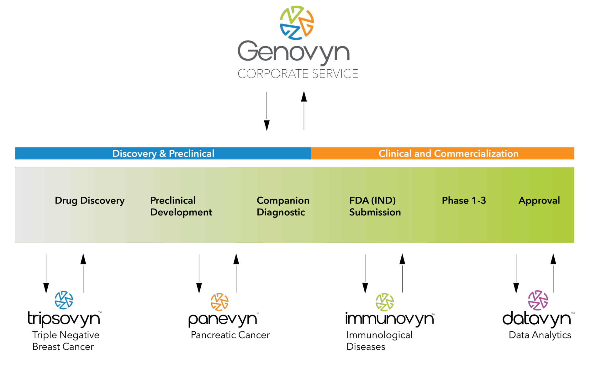 A flowchart for Genovyn Corporate Service shows stages from Discovery & Preclinical to Clinical and Commercialization, featuring products: tripsovyn, panevyn, immunovyn, and datavyn for various diseases and data analytics.