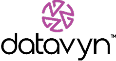 datavyn logo
